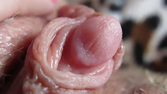 Get Up Close And Personal With My Massive Clit